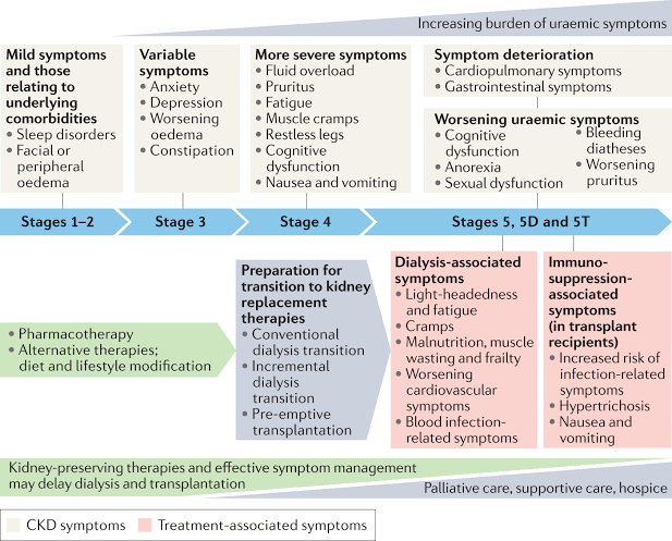 Chronic Kidney Diseases (CKD):

- Early detection: CKD often progresses silently, with symptoms appearing only in later stages. Early detection remains a challenge, leading to delayed intervention and poorer outcomes.

- Management of comorbidities: CKD is frequently accompanied by other conditions such as diabetes and hypertension, complicating treatment and requiring comprehensive management strategies.

- Progression to end-stage renal disease (ESRD): Despite medical interventions, a significant proportion of CKD patients progress to ESRD, necessitating renal replacement therapy (dialysis or transplantation) with its associated challenges and limitations.