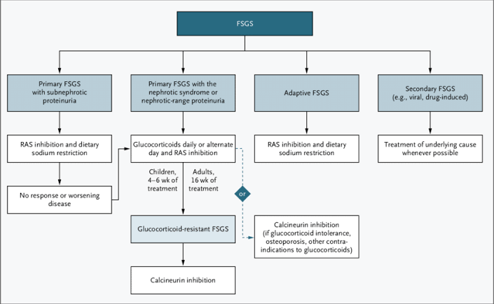 Familial Focal Segmental Glomerulosclerosis (fFSGS):

- Genetic heterogeneity: fFSGS encompasses a group of genetic disorders with diverse genetic mutations, making diagnosis and treatment challenging.

- Limited treatment options: Current therapeutic approaches for FSGS focus on symptom management and slowing disease progression, but targeted therapies addressing underlying genetic defects are limited.

- Recurrence after transplantation: FSGS has a high rate of recurrence following kidney transplantation, necessitating careful patient selection and post-transplant management strategies.