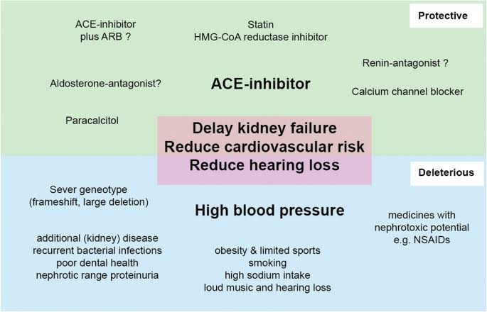 Alport Syndrome (AS):

- Progressive nature: AS is characterized by progressive renal impairment, often leading to ESRD by early adulthood. Despite advancements in understanding its genetic basis, effective treatments to halt disease progression are lacking.

- Extra-renal manifestations: AS can involve extra-renal manifestations such as hearing loss and ocular abnormalities, adding to the complexity of patient management and requiring multidisciplinary care.