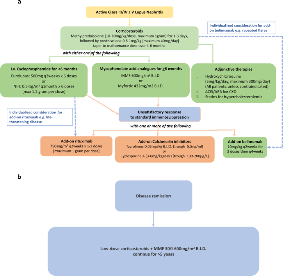 Lupus Nephritis (LN):

- Diagnosis and classification: LN diagnosis relies on renal biopsy findings, which are invasive and subject to sampling variability. Additionally, classification schemes for LN are complex and evolving, impacting treatment decisions and prognostication.

- Treatment resistance: A subset of LN patients does not respond adequately to standard immunosuppressive therapies, leading to treatment-resistant disease and increased risk of progression to ESRD.

- Monitoring for disease activity and relapse: LN is characterized by periods of disease activity and remission, necessitating regular monitoring for disease flares and adjustments to treatment regimens.