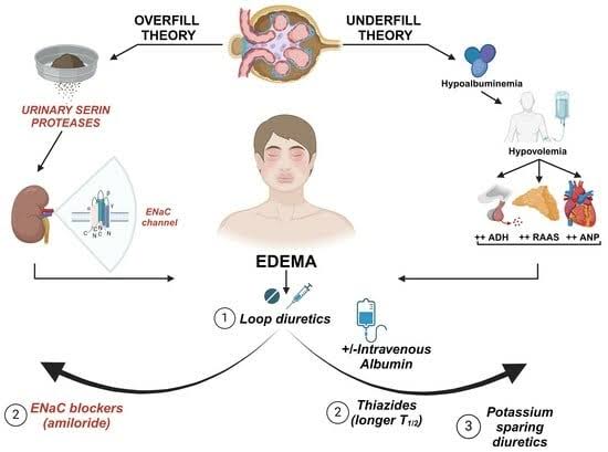 Nephrotic Syndrome (NS):

- Management of complications: NS is associated with various complications such as thromboembolism, infections, and metabolic abnormalities, which require vigilant monitoring and management to prevent morbidity and mortality.

- Relapse and steroid dependence: Many NS patients experience relapses of proteinuria despite initial response to treatment, leading to steroid dependence and increasing the risk of long-term complications.

- Limited treatment options: While corticosteroids and immunosuppressive agents are commonly used to induce remission in NS, treatment options for steroid-resistant cases are limited, posing challenges for disease management.