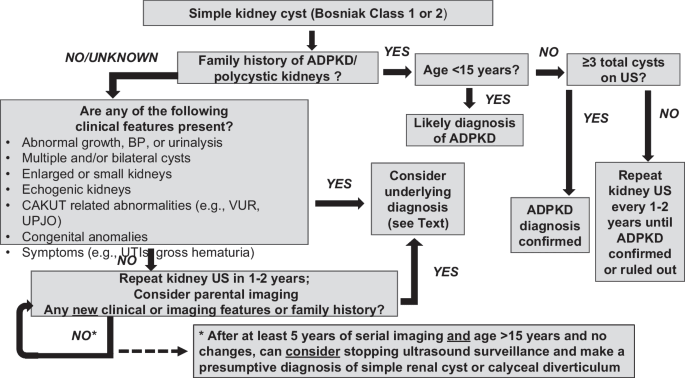 Kidney Cysts:

- Differential diagnosis: Kidney cysts can arise from various etiologies, including simple cysts, acquired cystic kidney disease, and polycystic kidney disease, necessitating careful evaluation and differentiation to guide management decisions.

- Complications and surveillance: Large or complex kidney cysts can increase the risk of complications such as infection, hemorrhage, and renal impairment, requiring surveillance and intervention as appropriate.

- Genetic counseling: In cases of polycystic kidney disease, genetic counseling is essential for affected individuals and their families to understand inheritance patterns, assess genetic risk, and make informed decisions about family planning and screening.