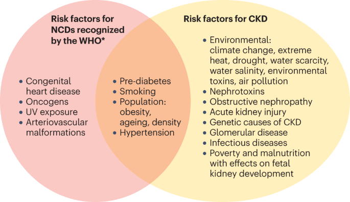 Nephrological afflictions present a formidable challenge to global health, marked by diverse prevalence rates, severity of symptoms, and far-reaching economic implications. Exploring the intricate landscape of kidney diseases, let's delve into pivotal statistics shedding light on various renal conditions such as Chronic Kidney Diseases (CKD), Diabetic Nephropathy (DN), Familial Focal Segmental Glomerulosclerosis (fFSGS), Polycystic Kidney Disease (PKD), Acute Kidney Injury (AKI) ,Glomerulonephritis (GN), Alport Syndrome (AS), Lupus Nephritis (LN), Nephrotic Syndrome (NS), Kidney Cysts, Renal Ischemia-Reperfusion (IR) Injury, Acute and Chronic Kidney Failure, End-Stage Renal Disease (ESRD), Renal Fibrosis: