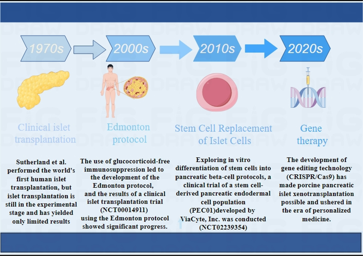 Recent research, clinical trials and real-world applications by our esteemed Anti-Aging and Pancreatic Regenerative Medicine Institution validate the safety, efficacy, and enduring therapeutic benefits of Cellular Therapy and Stem Cells for Pancreatic Diseases employing PIBC-PSCs in patients grappling with various pancreatic disorders