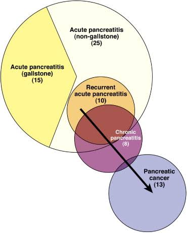 Pancreatic ailments such autoimmune pancreatitis, chronic pancreatitis, congenital pancreatic disorders (annular pancreas, pancreatic agenesis), cystic fibrosis-related diabetes (CFRD), diabetes type I and type II, exocrine pancreatic insufficiency (EPI), pancreatic neuroendocrine tumors (PNETs), post-surgical or traumatic pancreatic injury, pancreatic cancer as represent a formidable obstacle to global health, characterized by diverse prevalence rates, symptom severity, and economic ramifications.